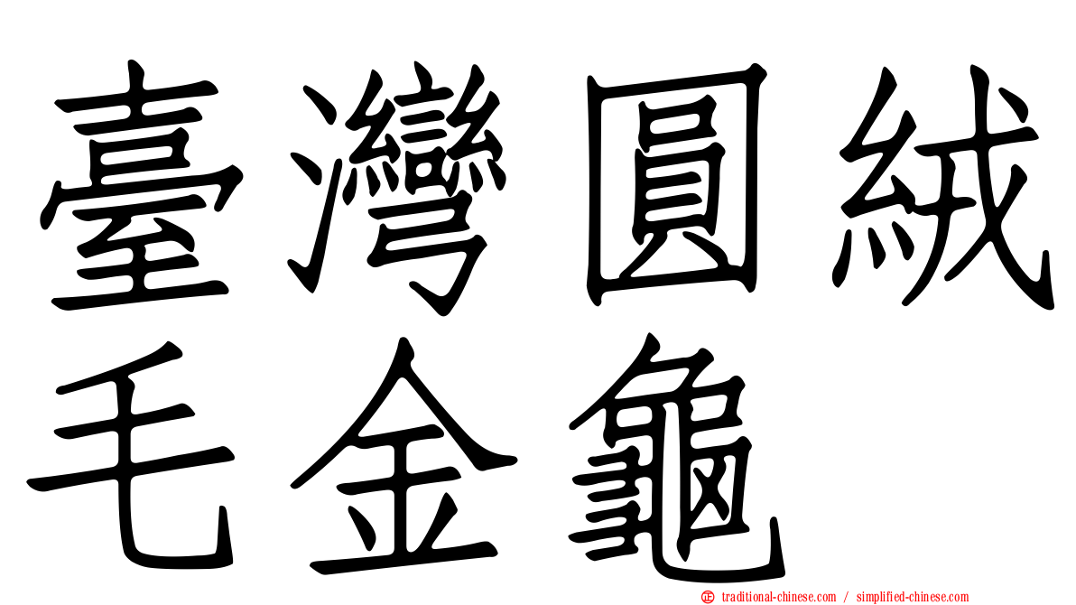 臺灣圓絨毛金龜