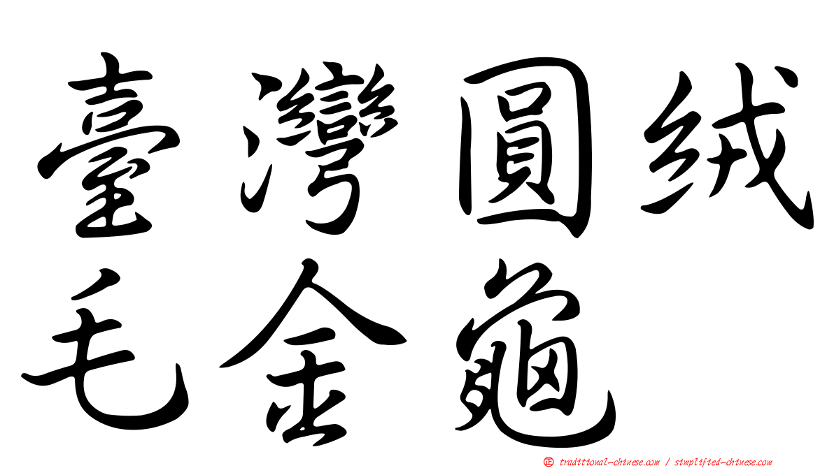 臺灣圓絨毛金龜