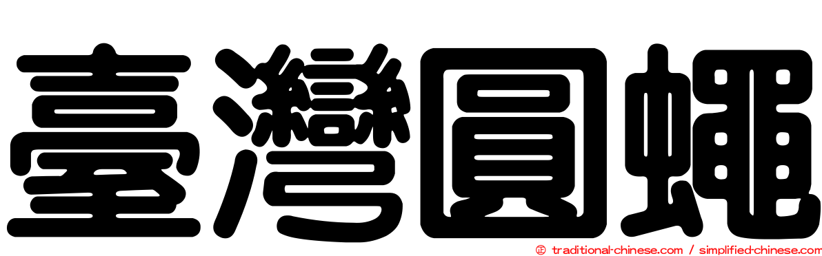 臺灣圓蠅