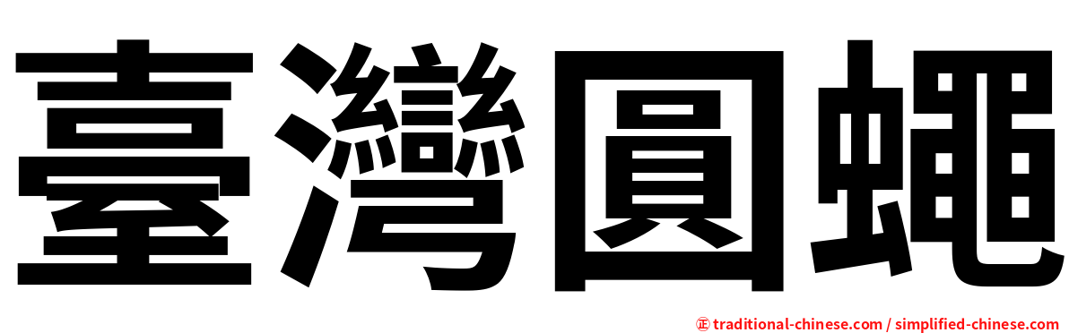臺灣圓蠅