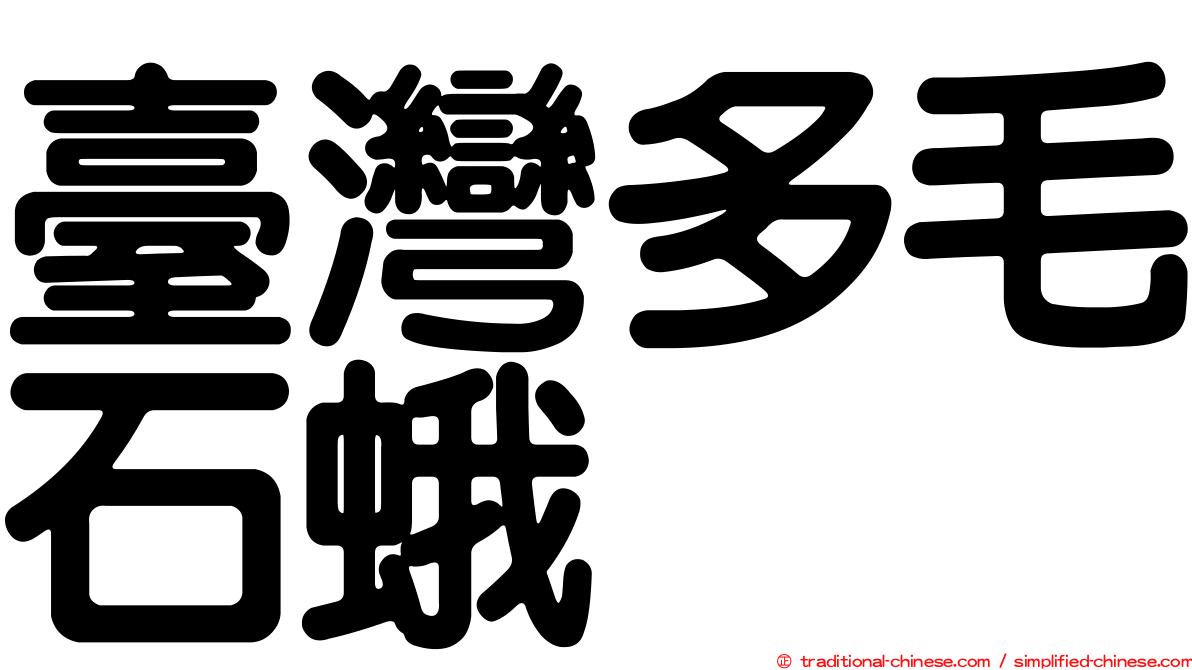 臺灣多毛石蛾