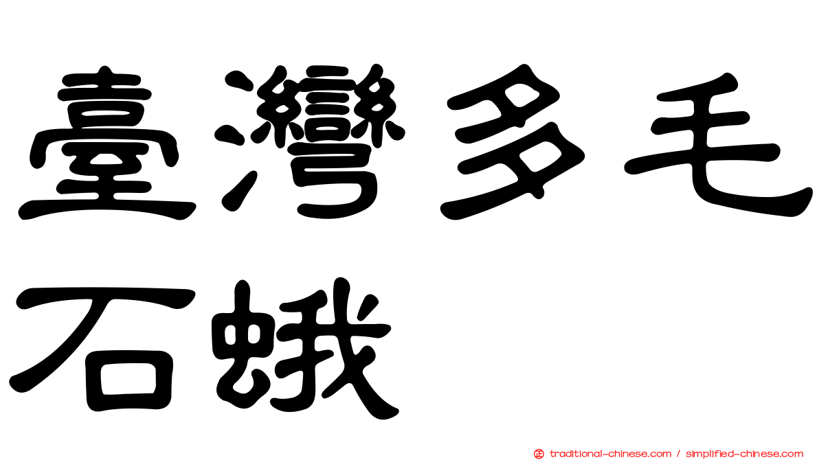 臺灣多毛石蛾