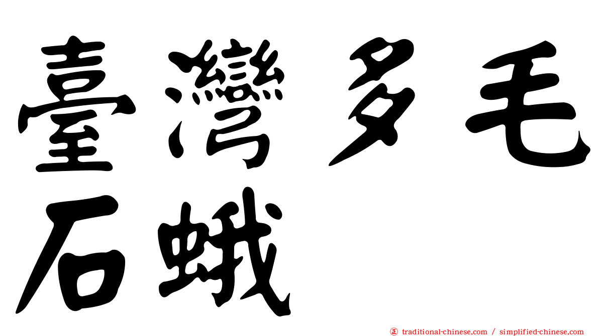 臺灣多毛石蛾