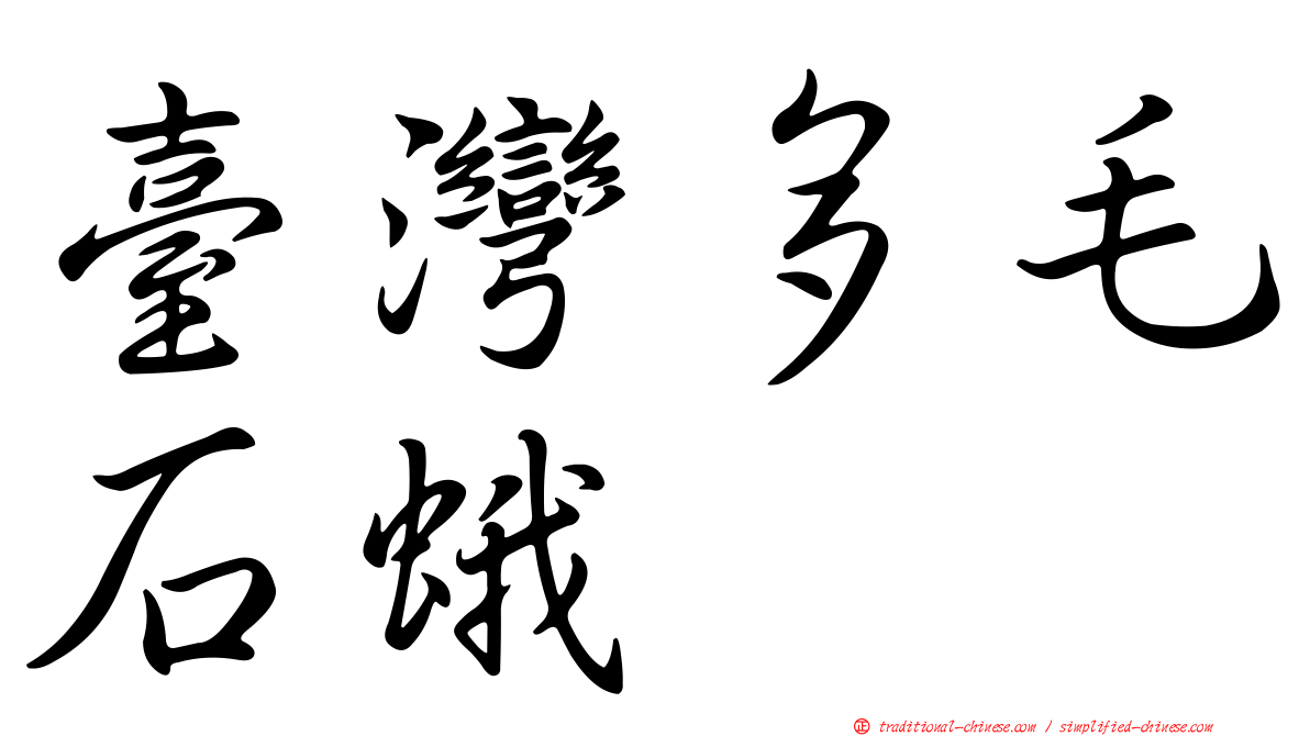 臺灣多毛石蛾