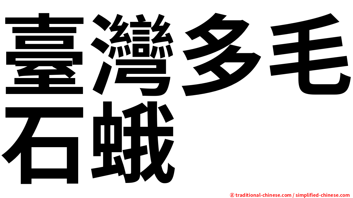 臺灣多毛石蛾