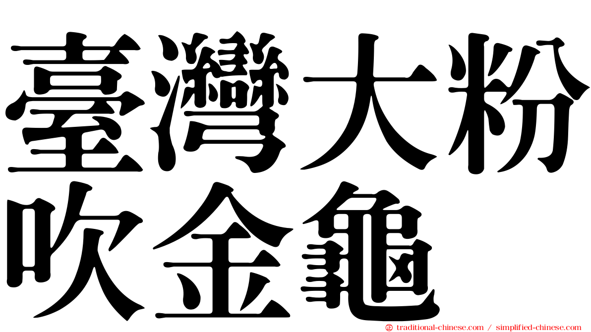 臺灣大粉吹金龜