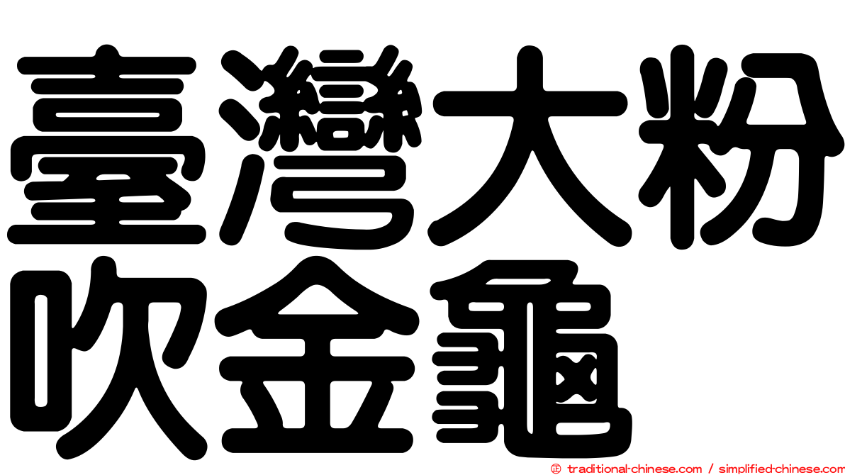 臺灣大粉吹金龜