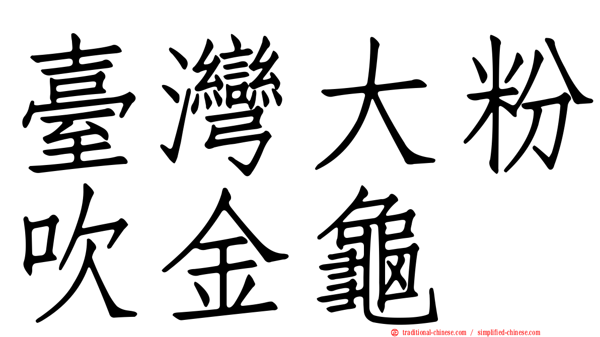 臺灣大粉吹金龜