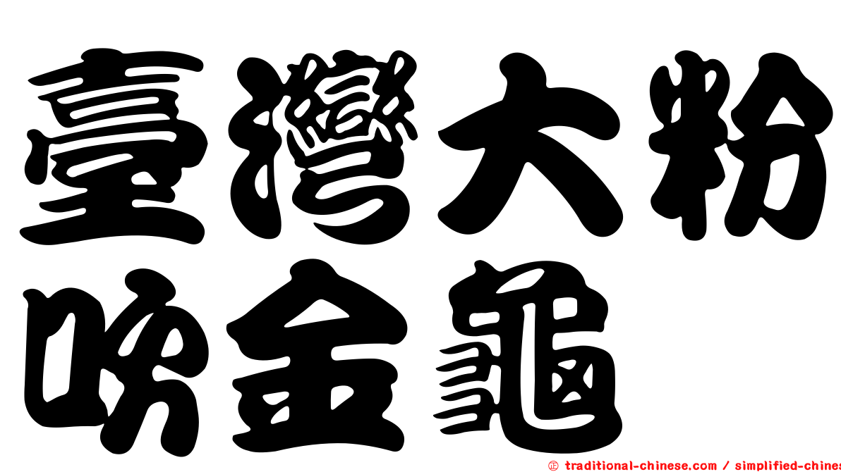 臺灣大粉吹金龜