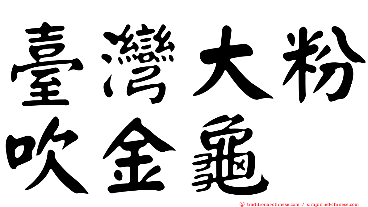 臺灣大粉吹金龜