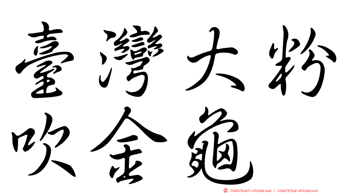 臺灣大粉吹金龜