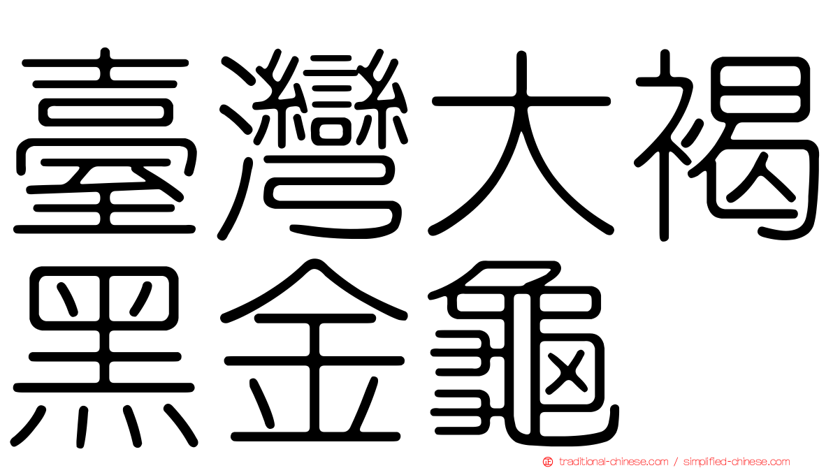 臺灣大褐黑金龜