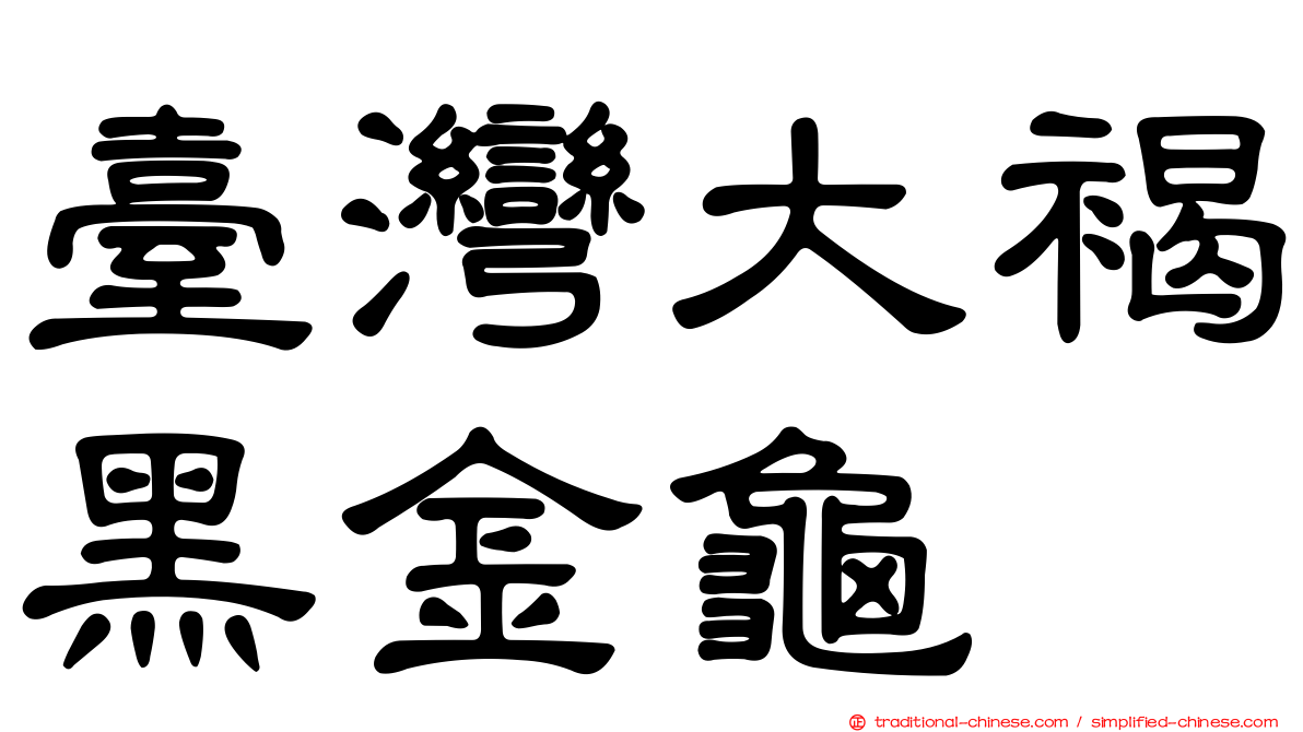 臺灣大褐黑金龜