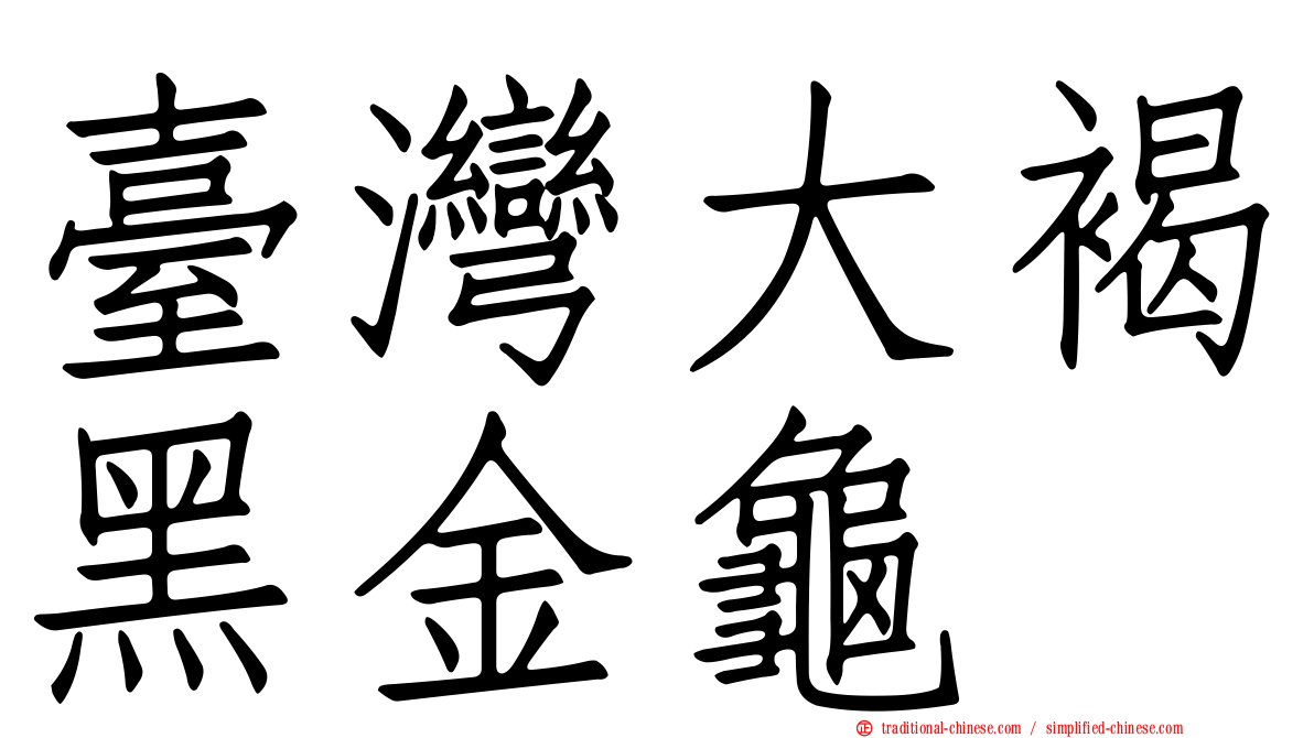 臺灣大褐黑金龜
