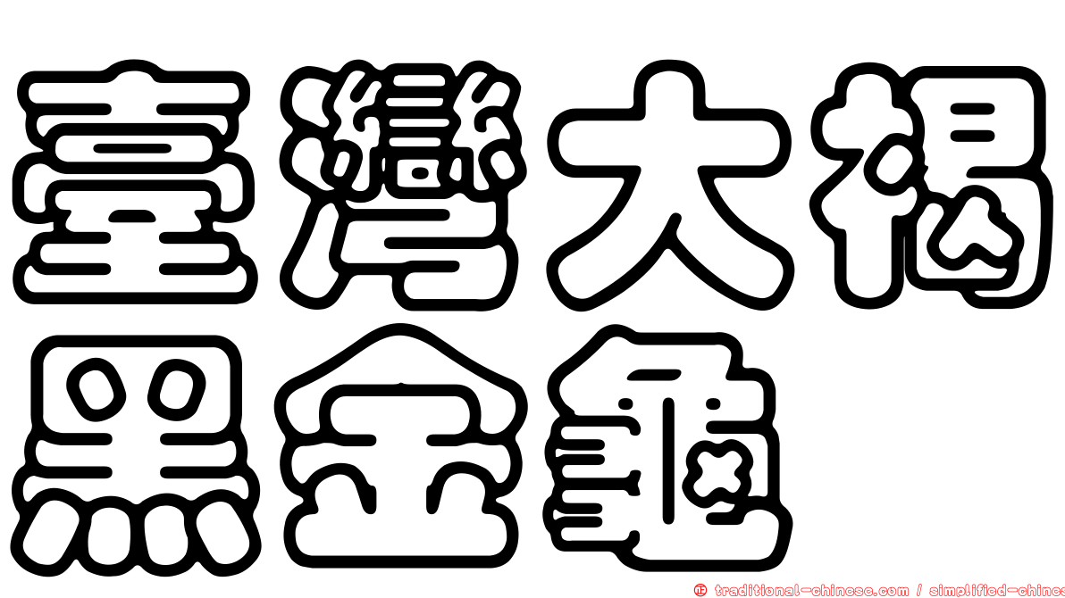 臺灣大褐黑金龜