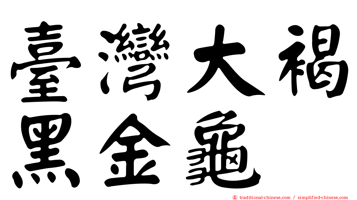 臺灣大褐黑金龜