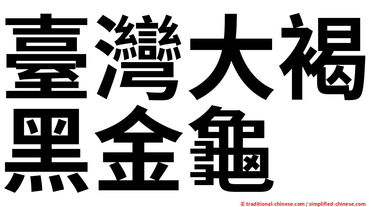 臺灣大褐黑金龜