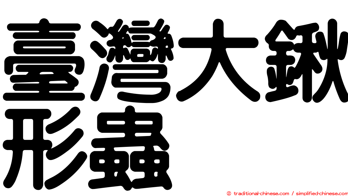 臺灣大鍬形蟲