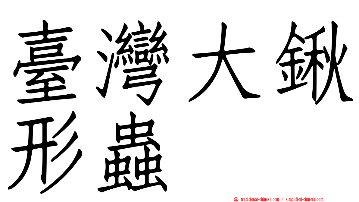 臺灣大鍬形蟲