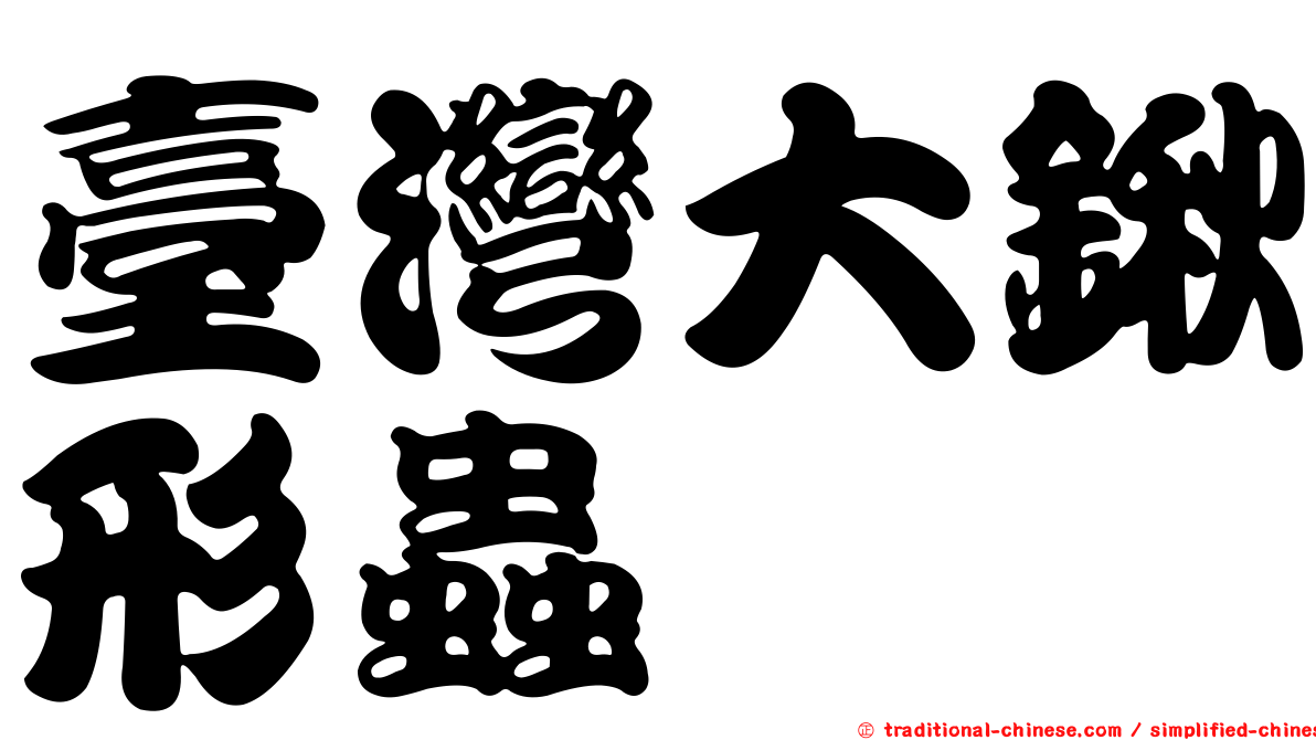 臺灣大鍬形蟲