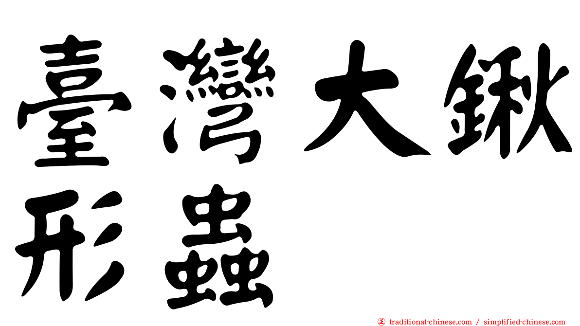 臺灣大鍬形蟲