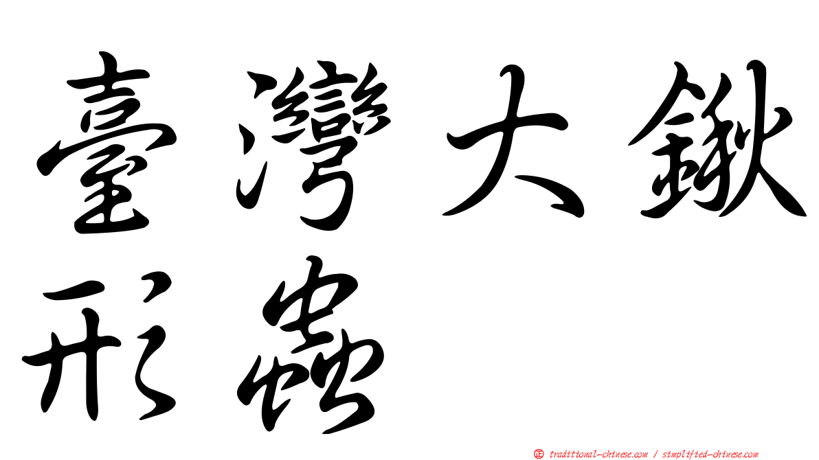 臺灣大鍬形蟲