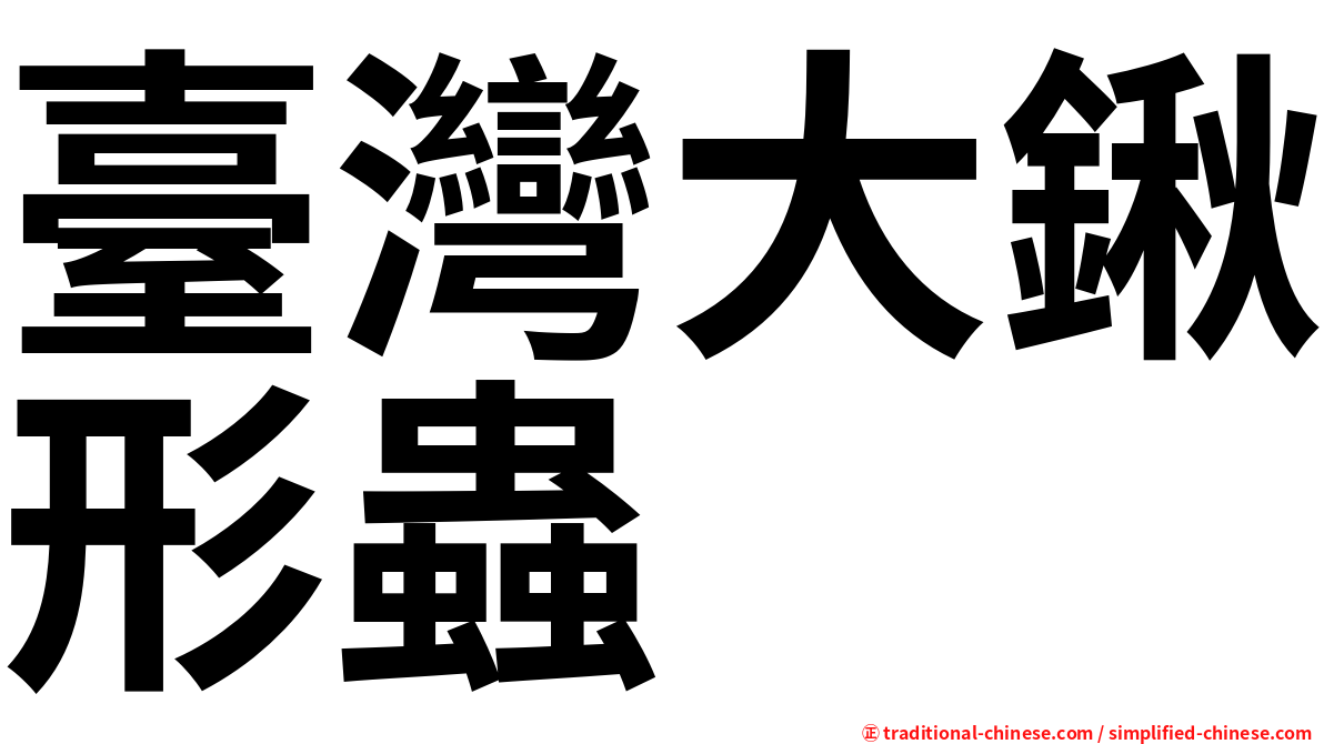 臺灣大鍬形蟲
