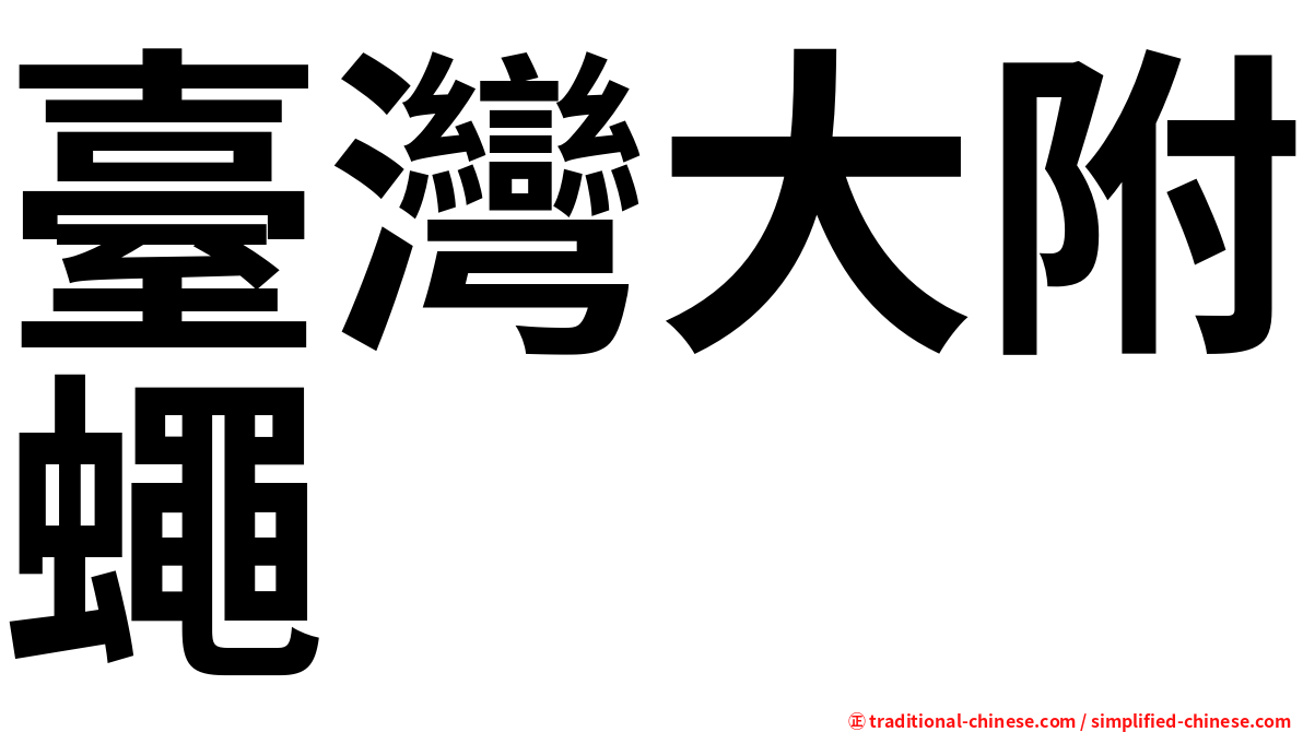臺灣大附蠅