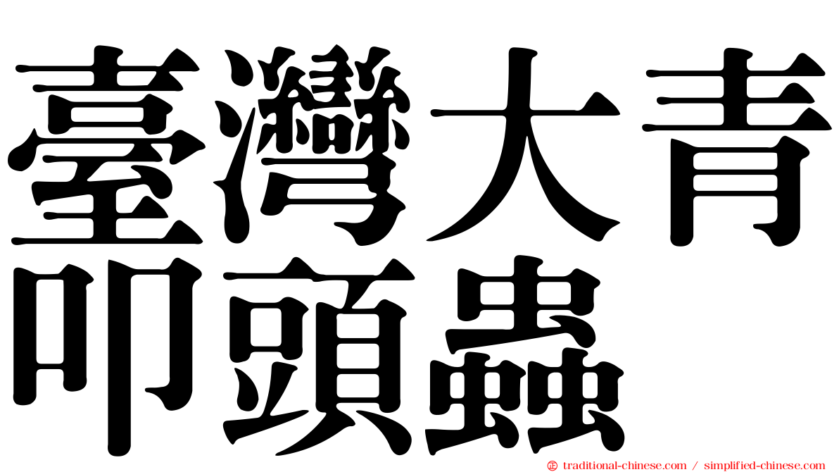 臺灣大青叩頭蟲