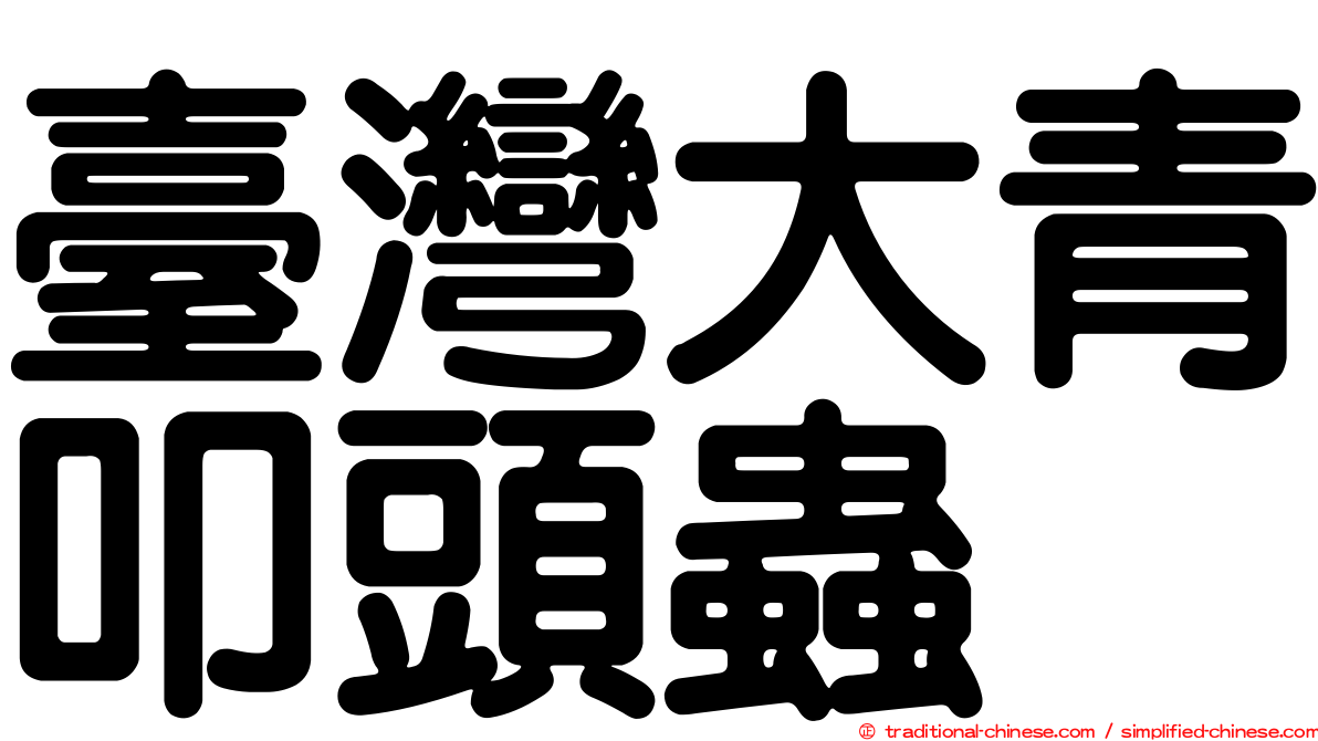 臺灣大青叩頭蟲