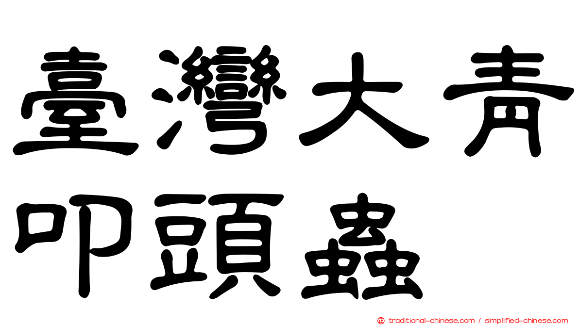 臺灣大青叩頭蟲