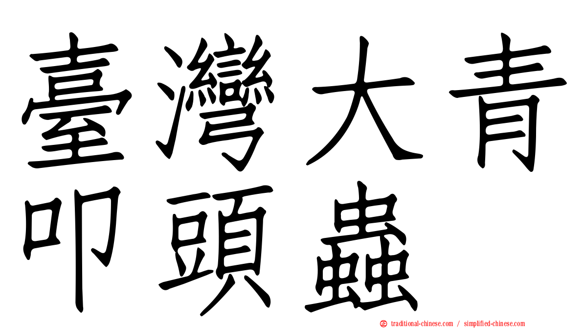 臺灣大青叩頭蟲