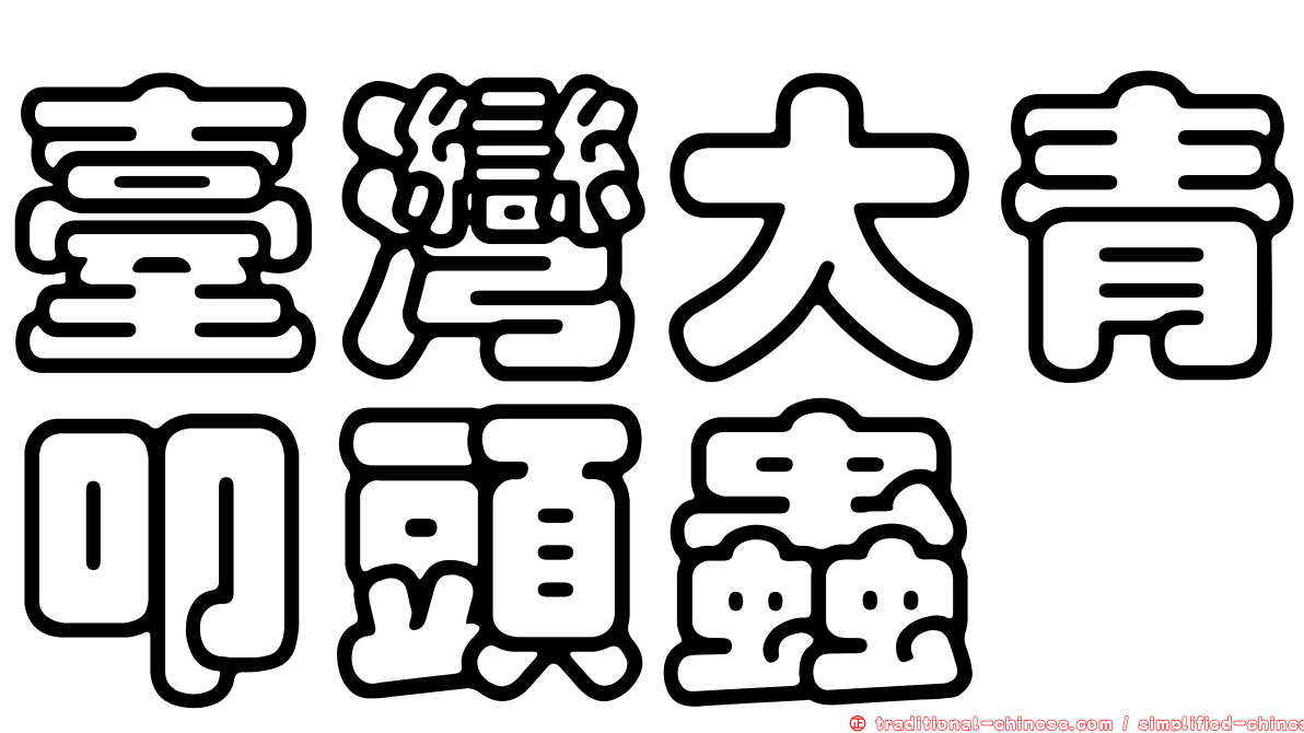 臺灣大青叩頭蟲