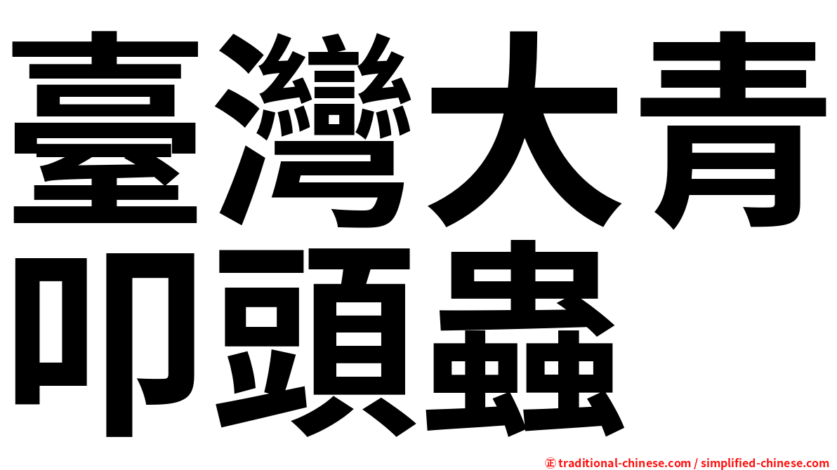 臺灣大青叩頭蟲