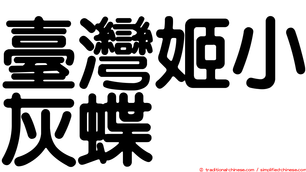 臺灣姬小灰蝶