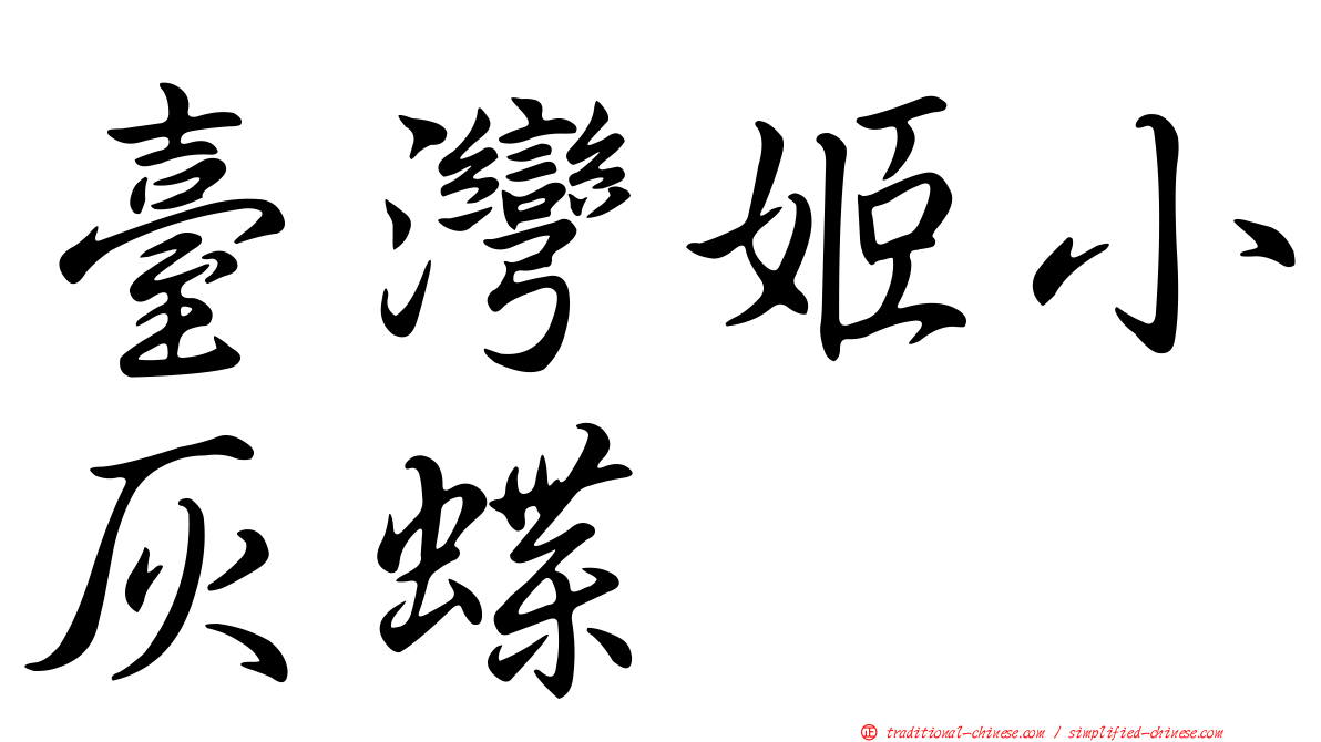 臺灣姬小灰蝶