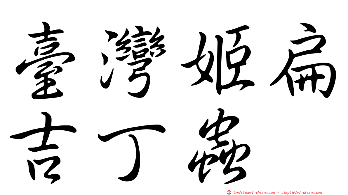 臺灣姬扁吉丁蟲