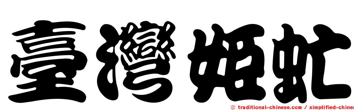 臺灣姬虻