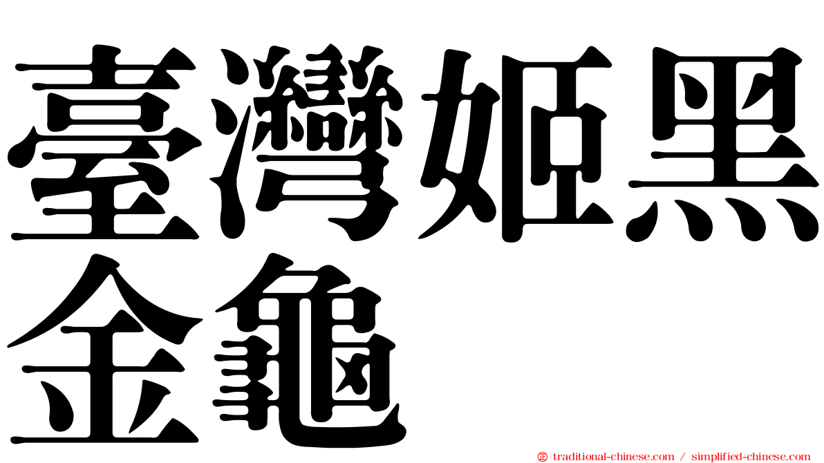 臺灣姬黑金龜