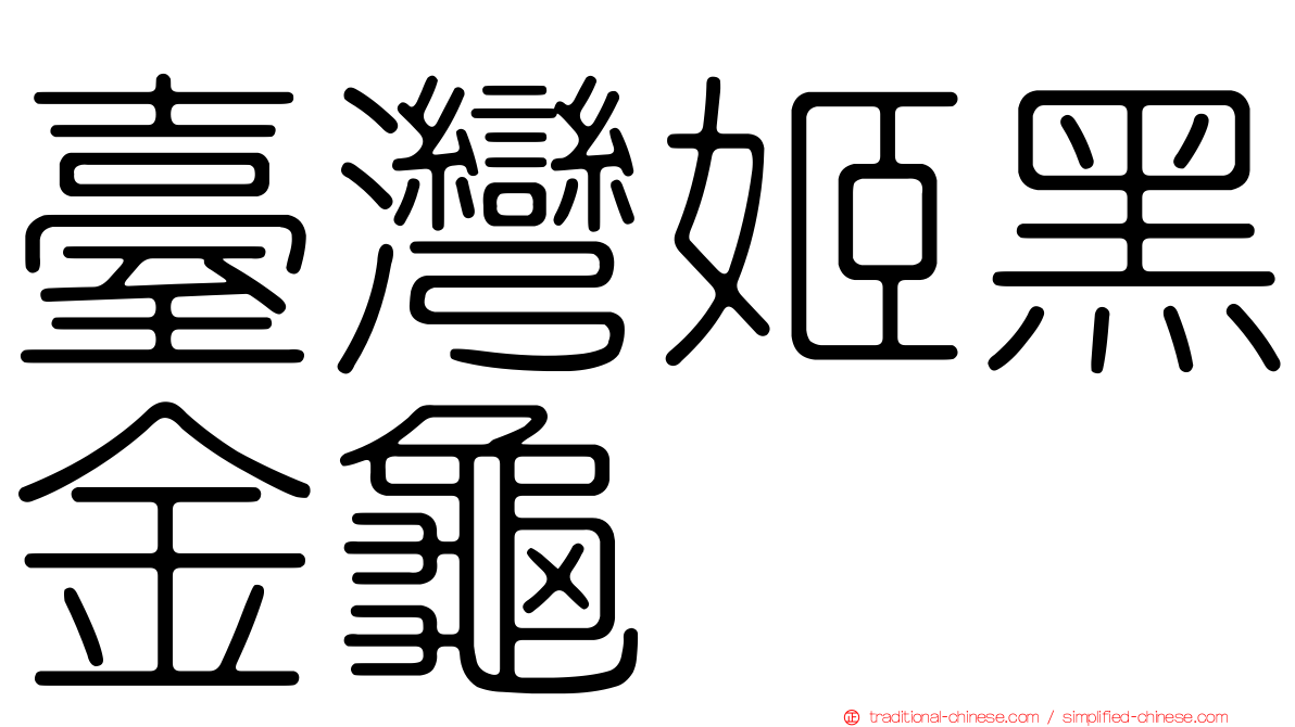 臺灣姬黑金龜