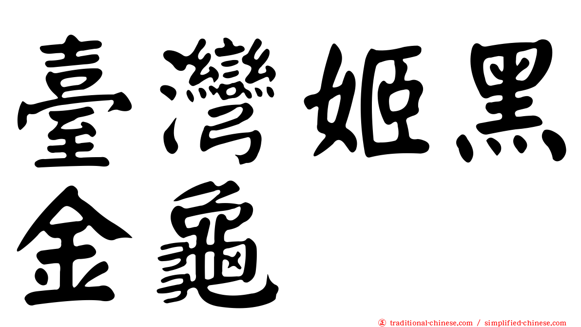 臺灣姬黑金龜
