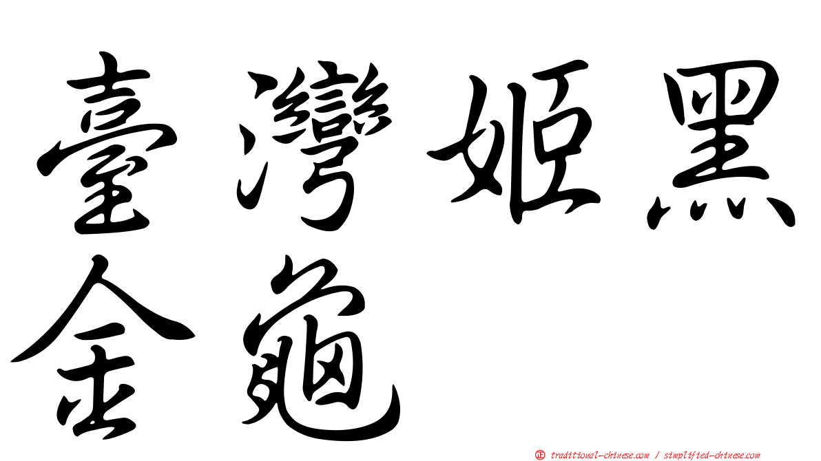 臺灣姬黑金龜