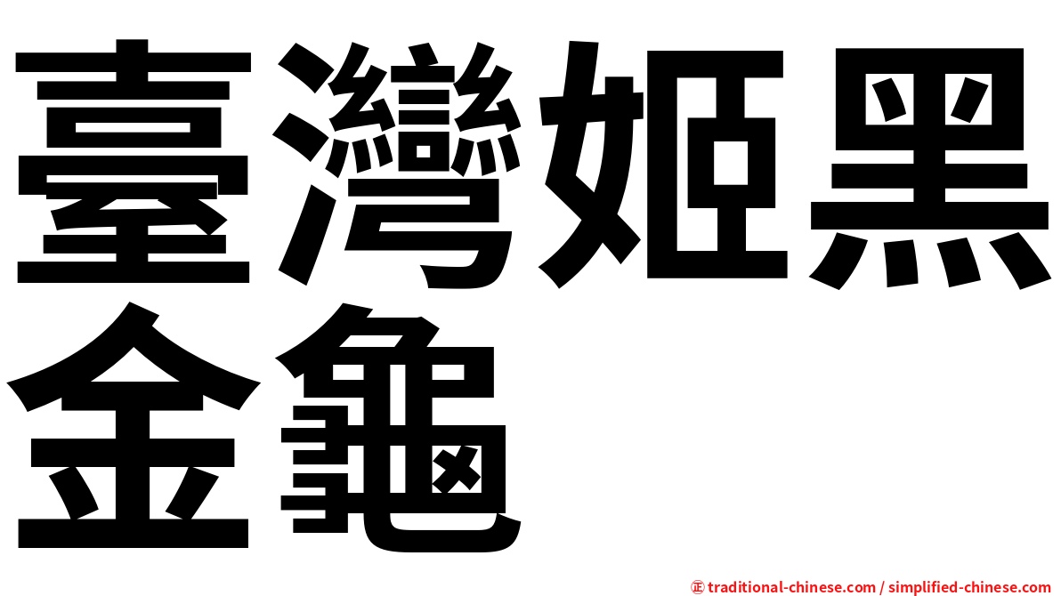 臺灣姬黑金龜