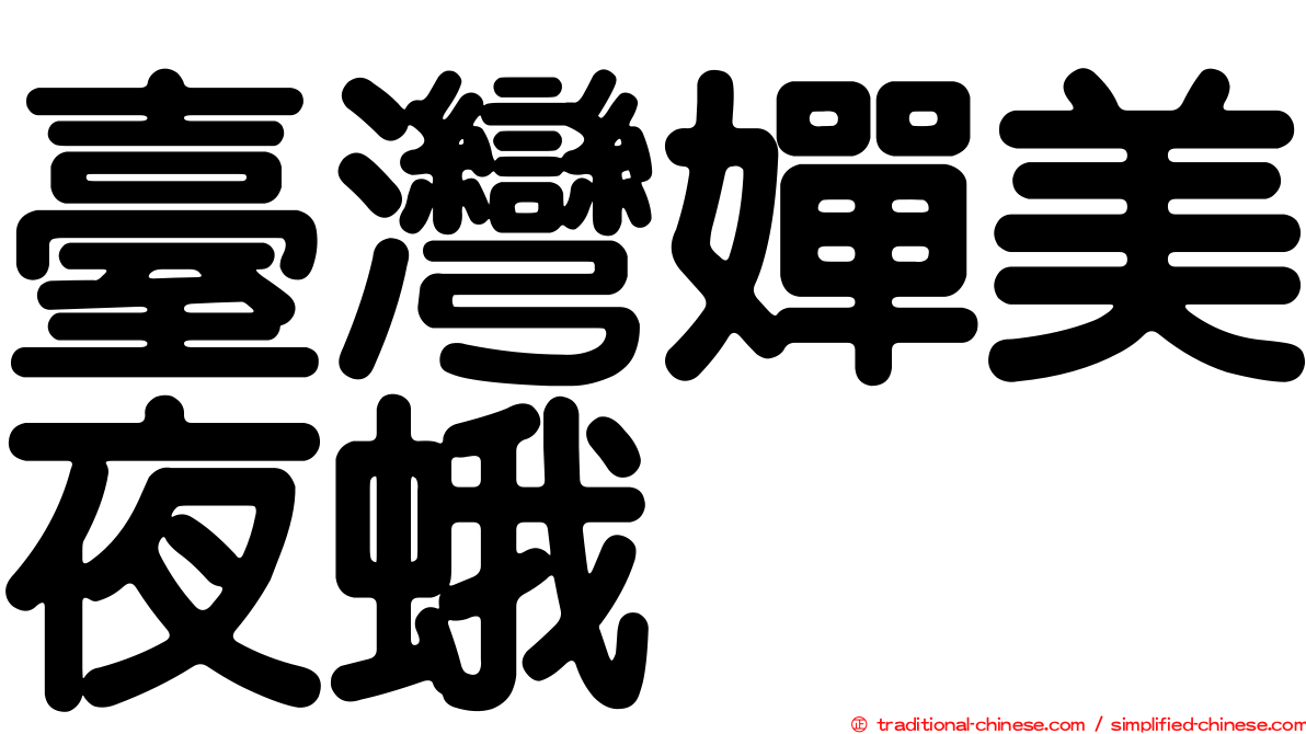臺灣嬋美夜蛾