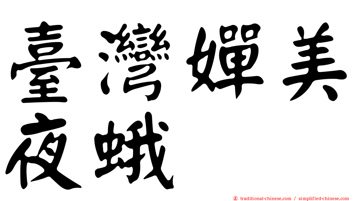 臺灣嬋美夜蛾