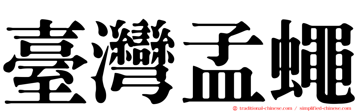 臺灣孟蠅