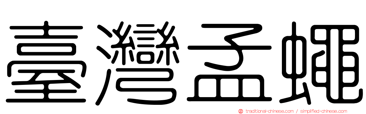 臺灣孟蠅