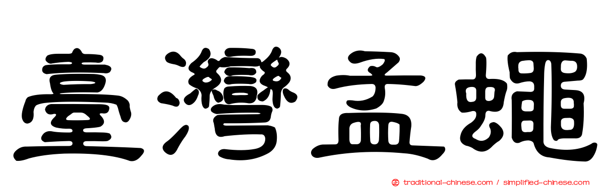 臺灣孟蠅