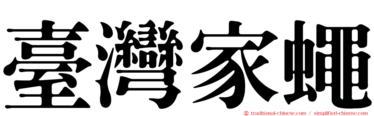 臺灣家蠅