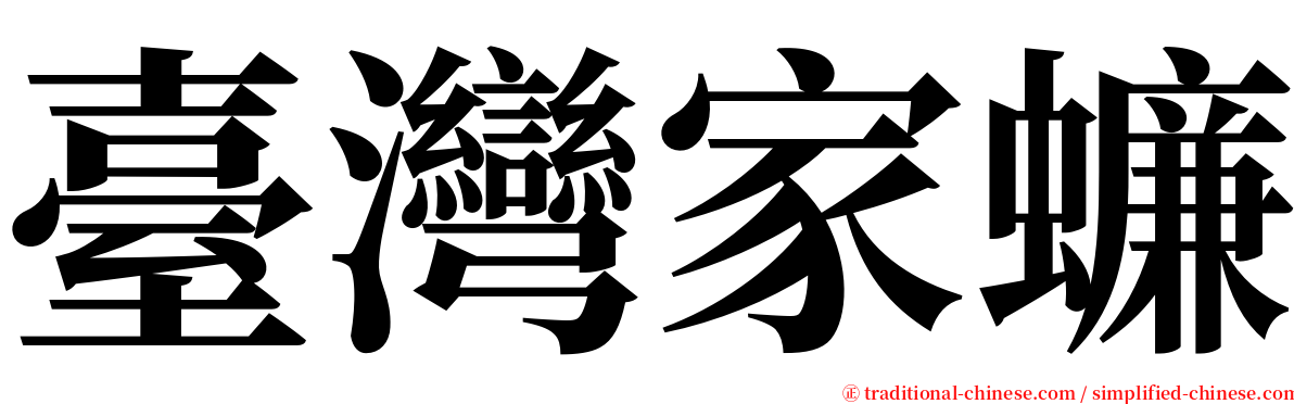 臺灣家蠊 serif font